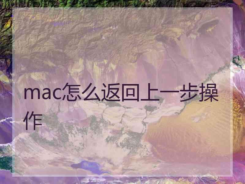 mac怎么返回上一步操作