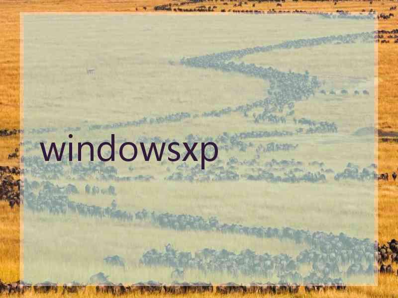 windowsxp