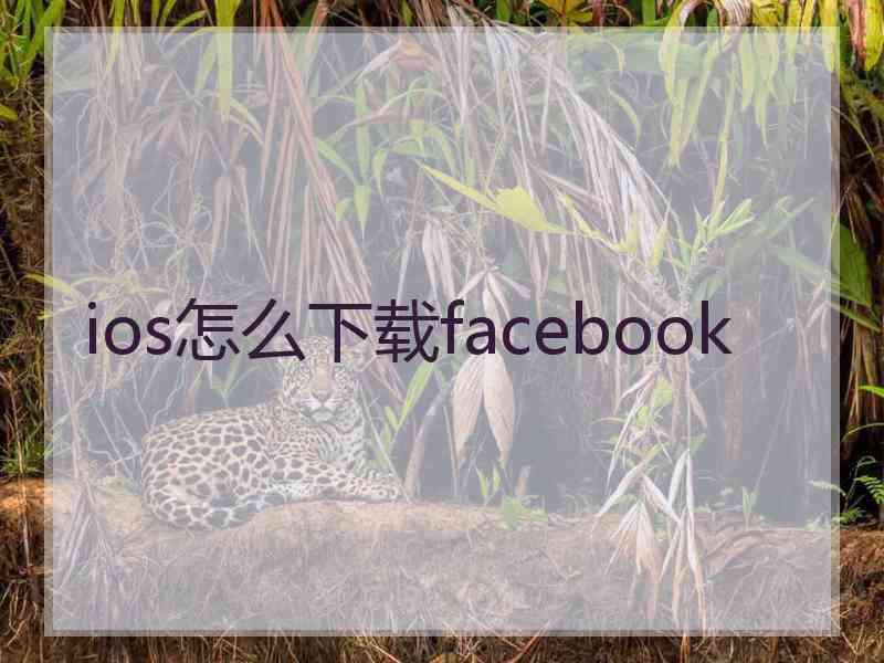 ios怎么下载facebook