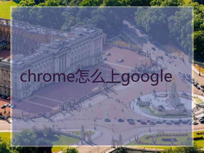 chrome怎么上google