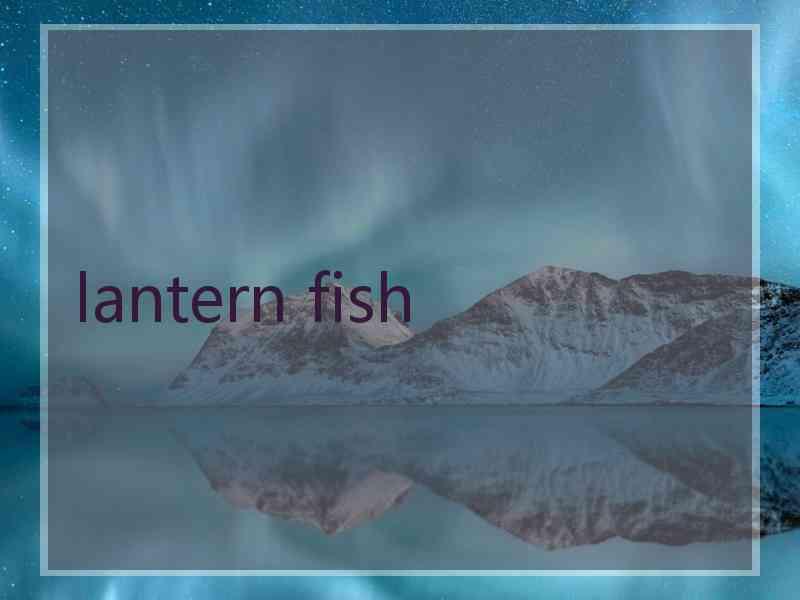 lantern fish