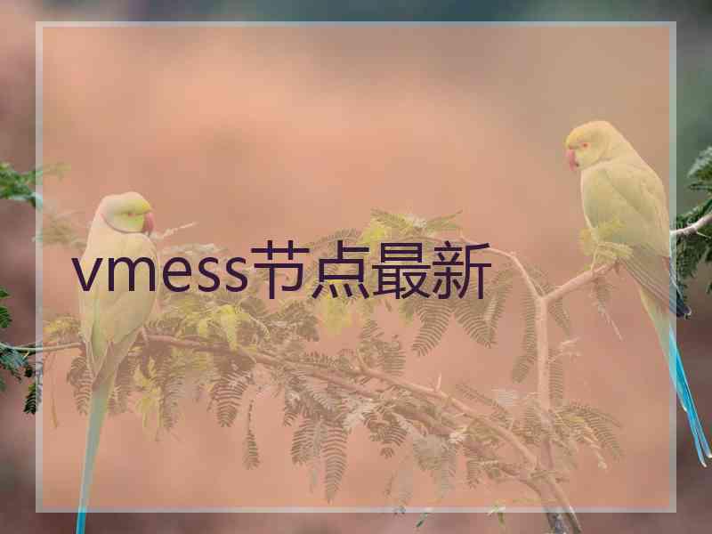 vmess节点最新