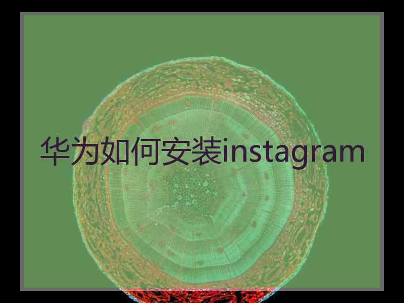 华为如何安装instagram