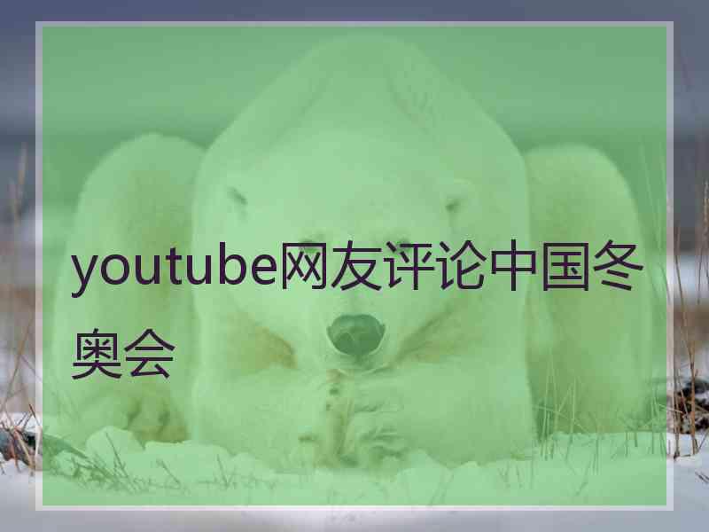 youtube网友评论中国冬奥会