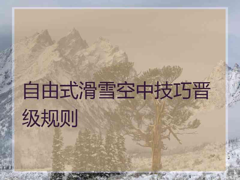 自由式滑雪空中技巧晋级规则