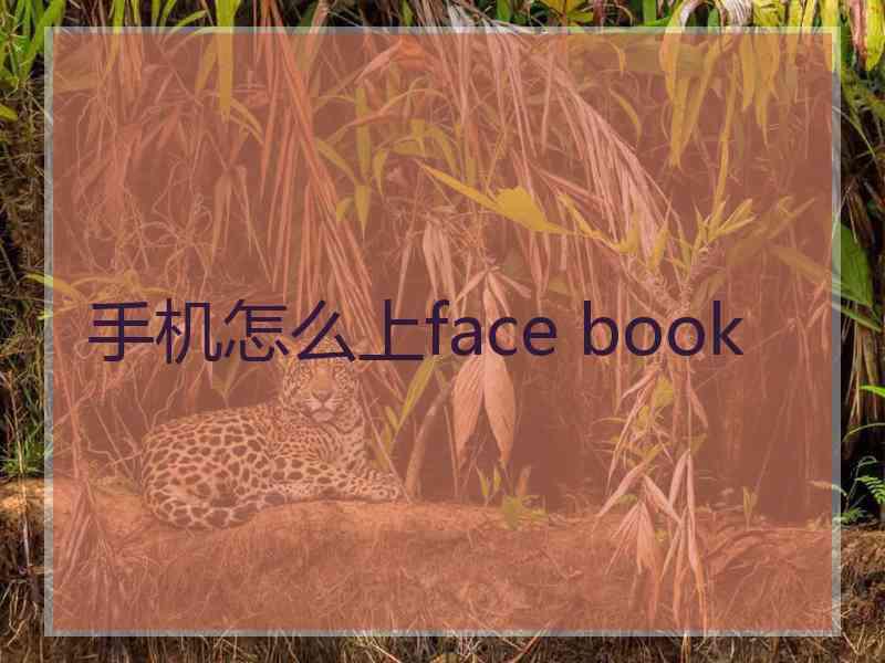 手机怎么上face book