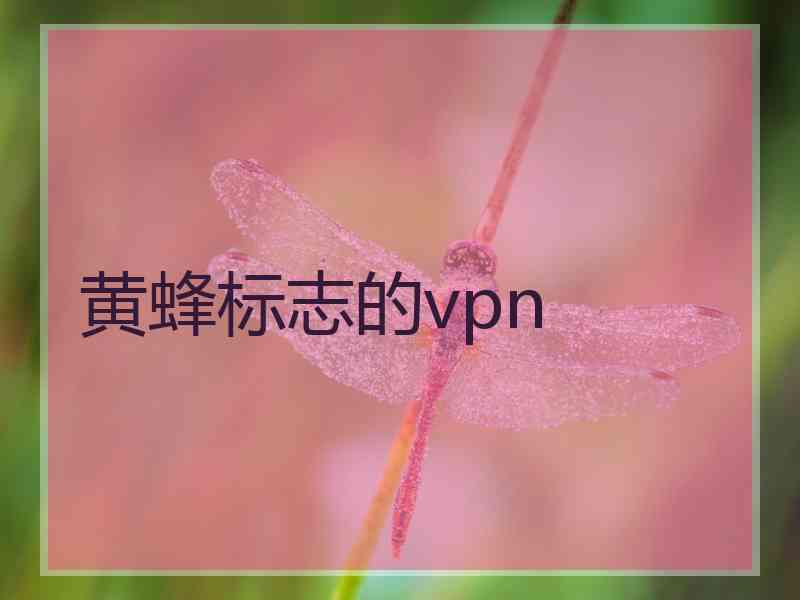 黄蜂标志的vpn