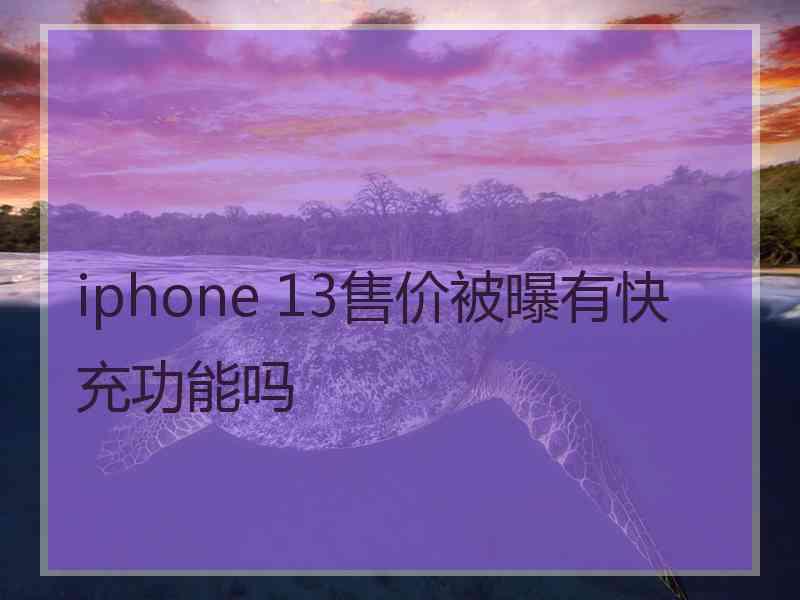 iphone 13售价被曝有快充功能吗