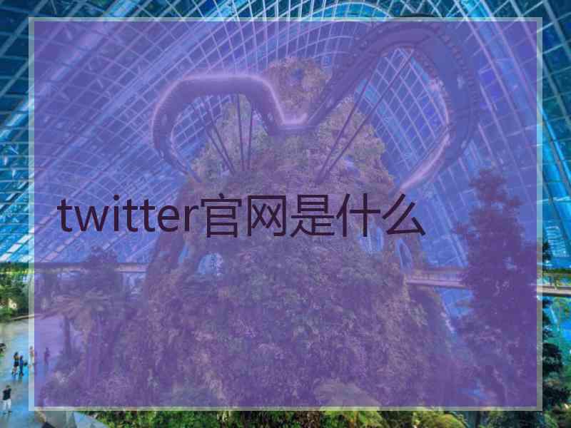 twitter官网是什么