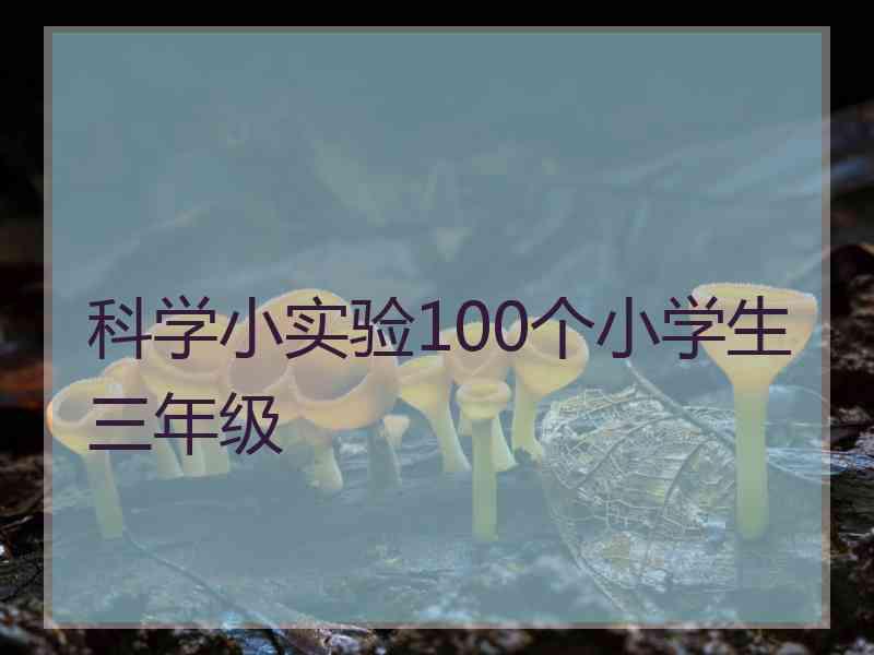 科学小实验100个小学生三年级