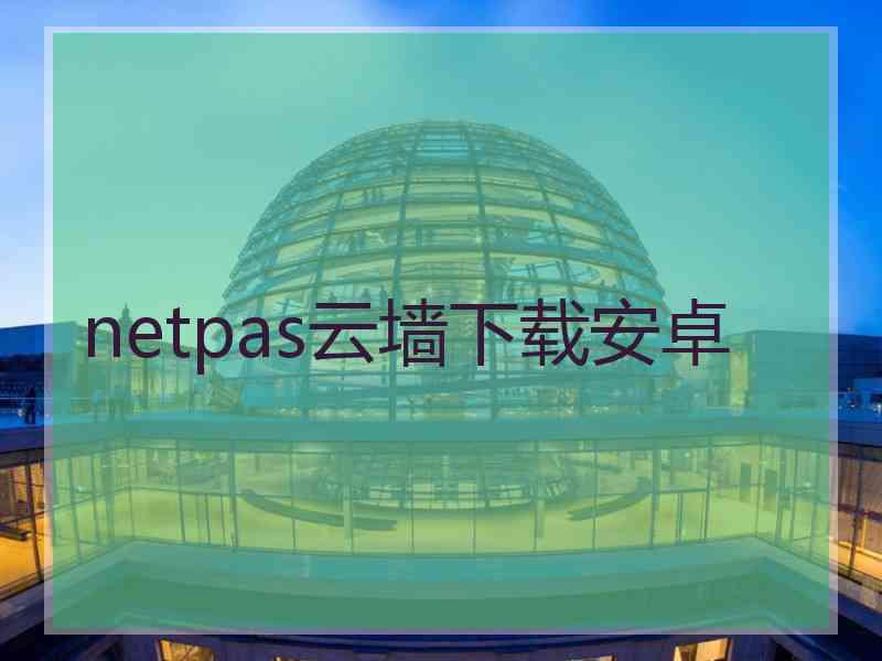 netpas云墙下载安卓