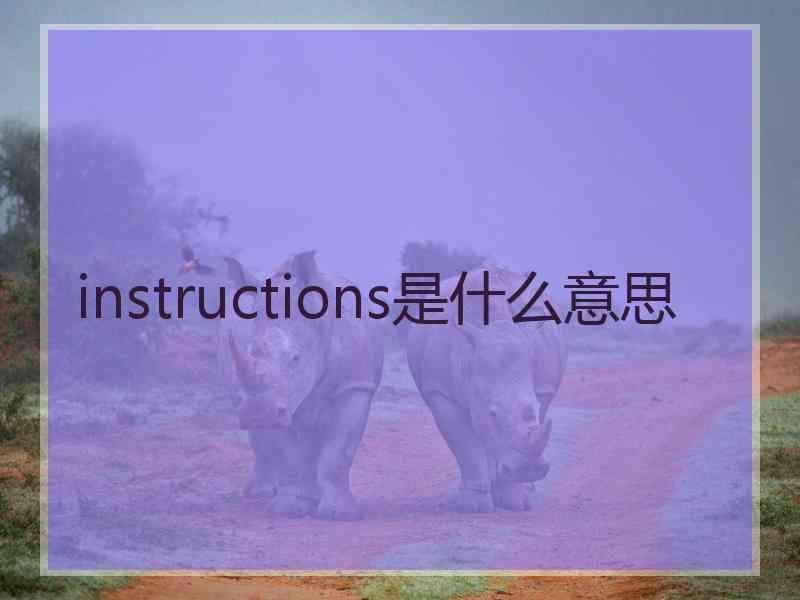 instructions是什么意思