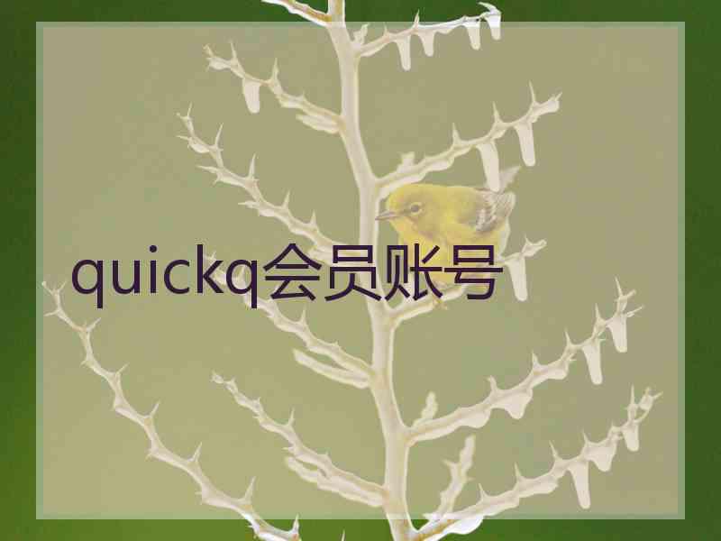 quickq会员账号