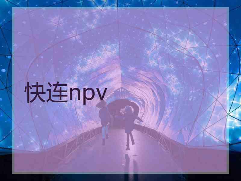 快连npv