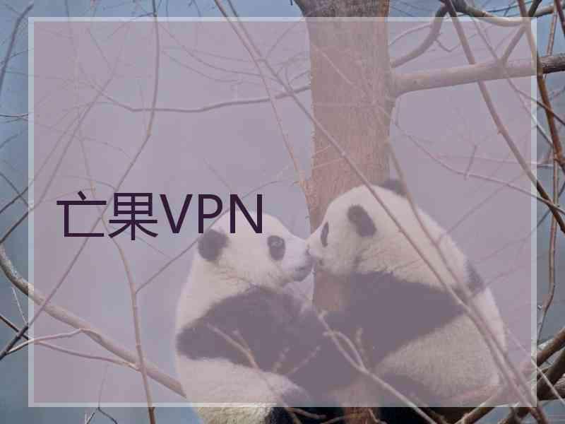 亡果VPN