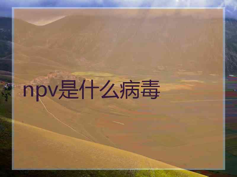 npv是什么病毒