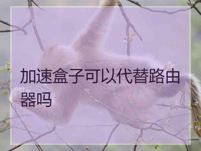 加速盒子可以代替路由器吗