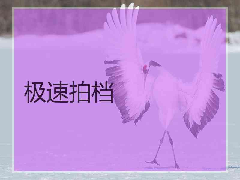 极速拍档