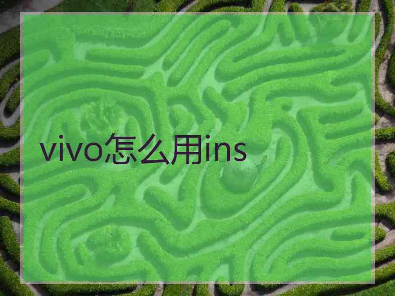 vivo怎么用ins