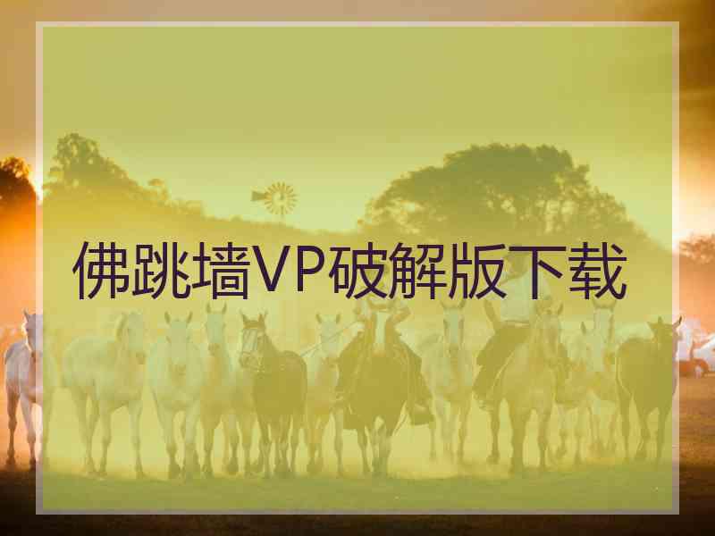 佛跳墙VP破解版下载