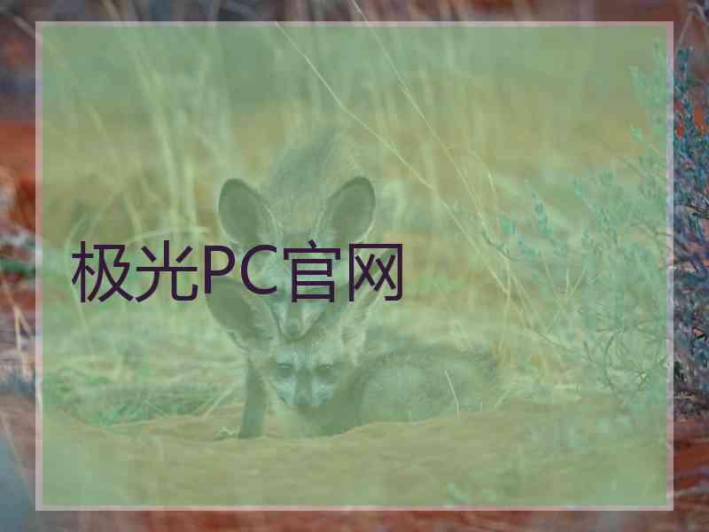 极光PC官网