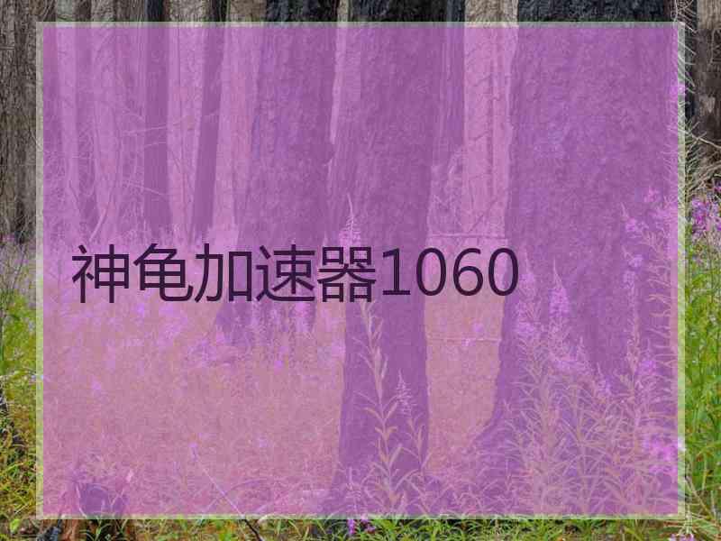 神龟加速器1060