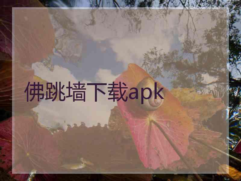 佛跳墙下载apk