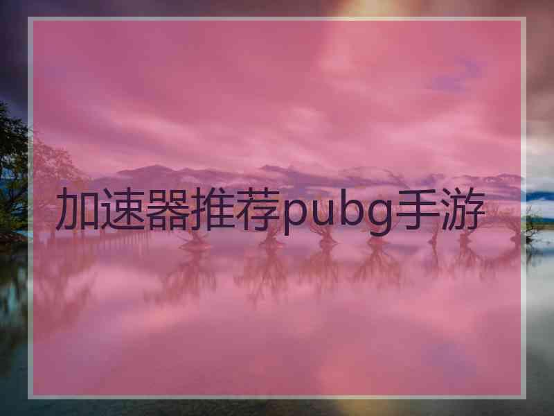 加速器推荐pubg手游