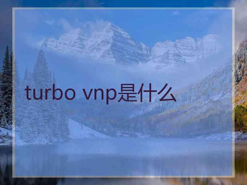 turbo vnp是什么