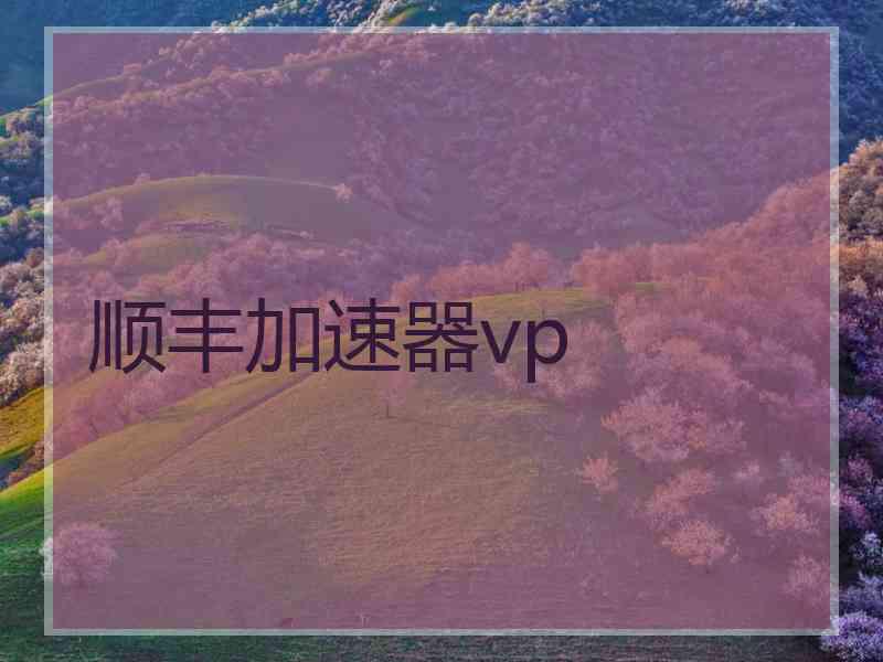 顺丰加速器vp