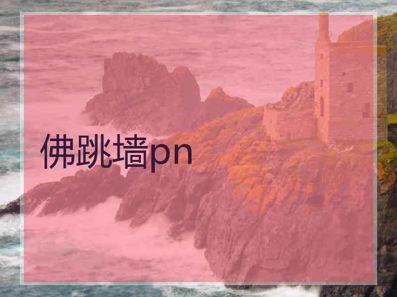 佛跳墙pn