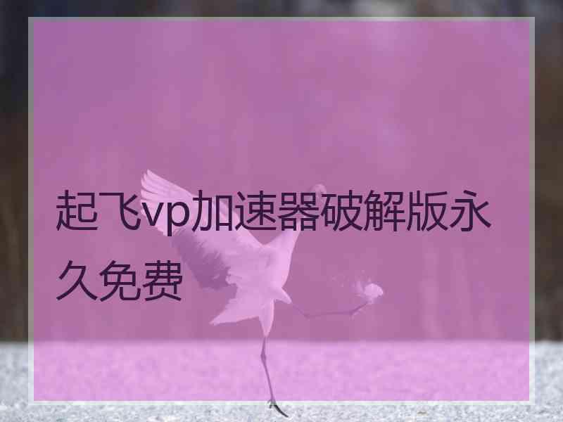 起飞vp加速器破解版永久免费