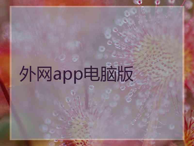 外网app电脑版