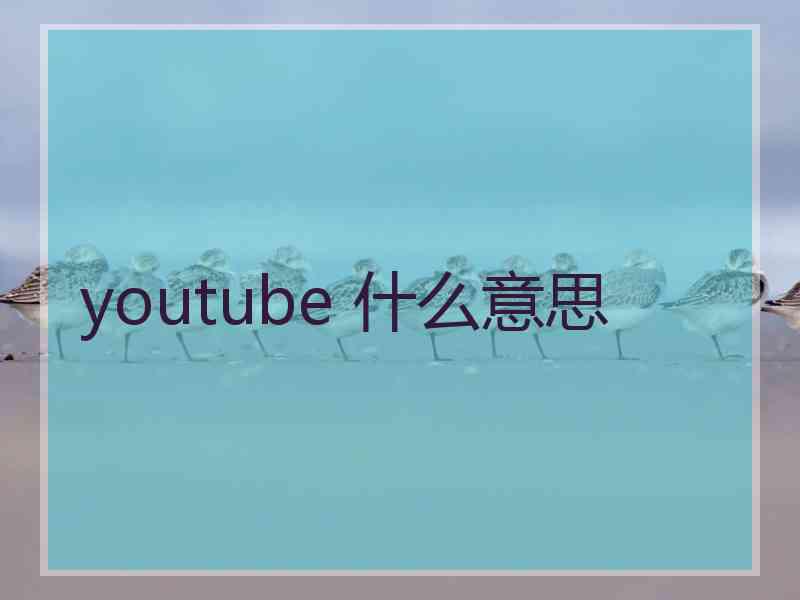 youtube 什么意思