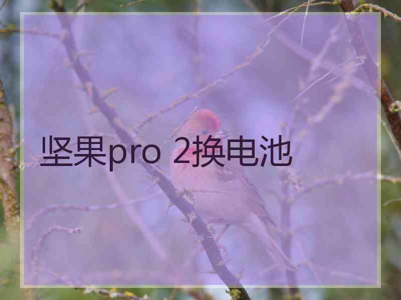 坚果pro 2换电池