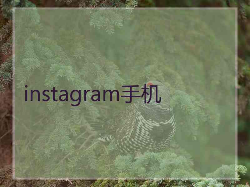 instagram手机