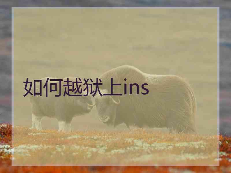 如何越狱上ins