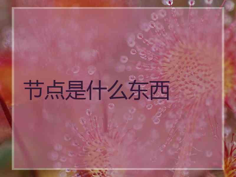 节点是什么东西