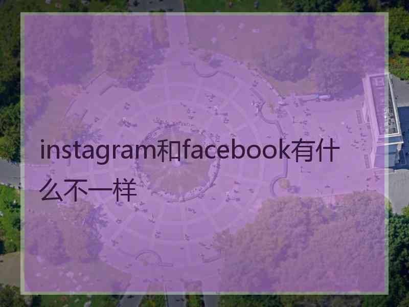 instagram和facebook有什么不一样