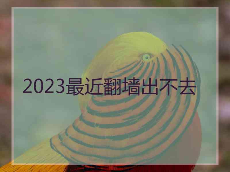 2023最近翻墙出不去