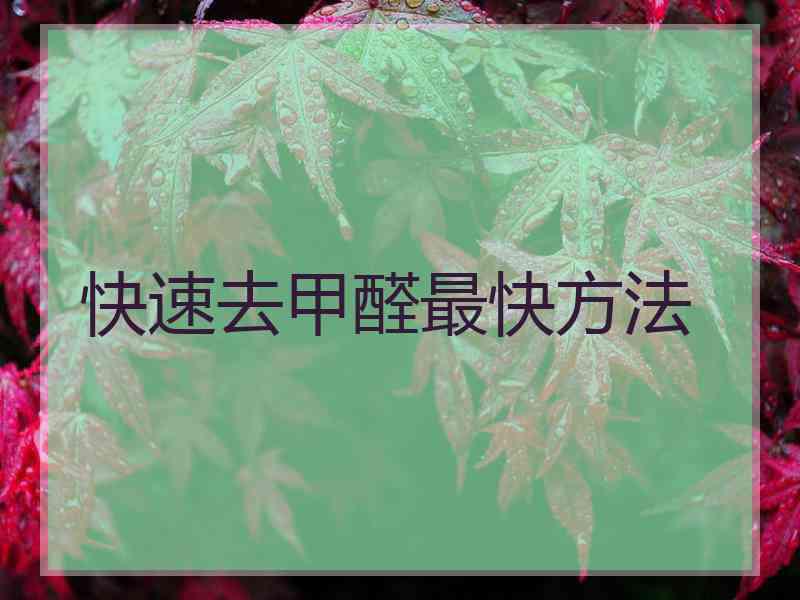 快速去甲醛最快方法