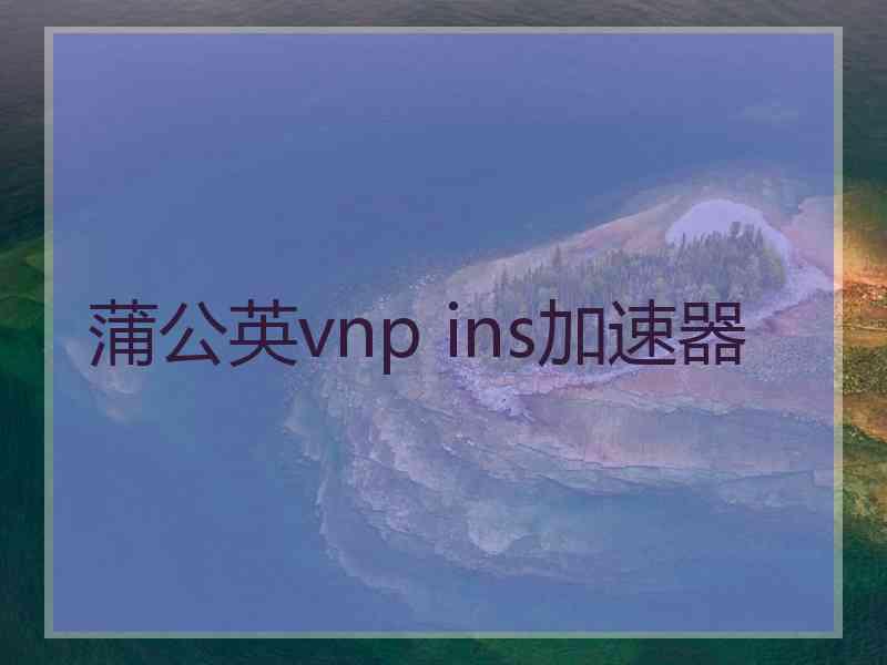 蒲公英vnp ins加速器