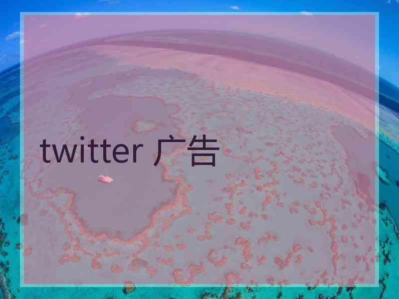 twitter 广告