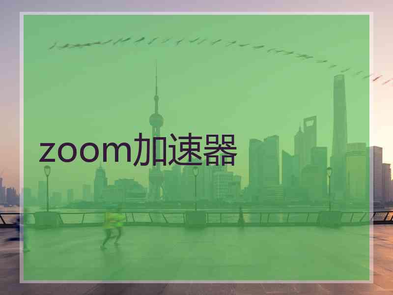 zoom加速器