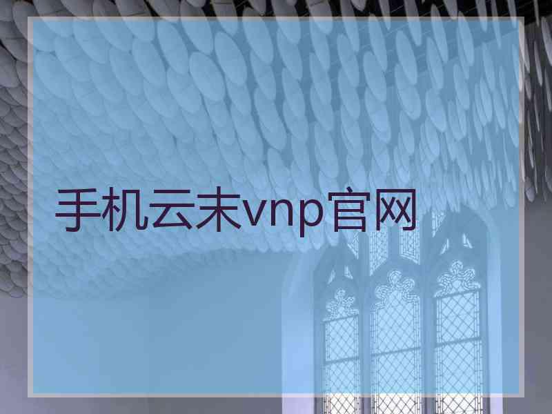 手机云末vnp官网