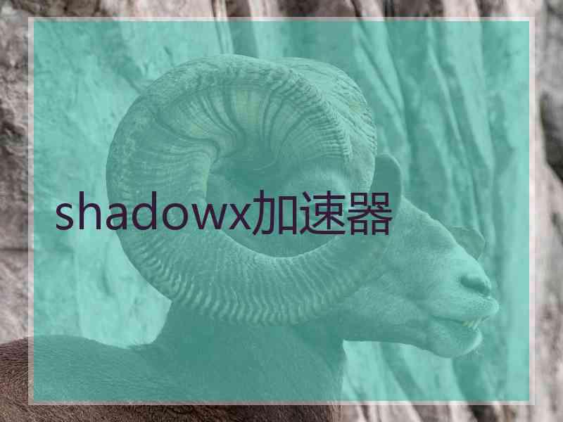 shadowx加速器