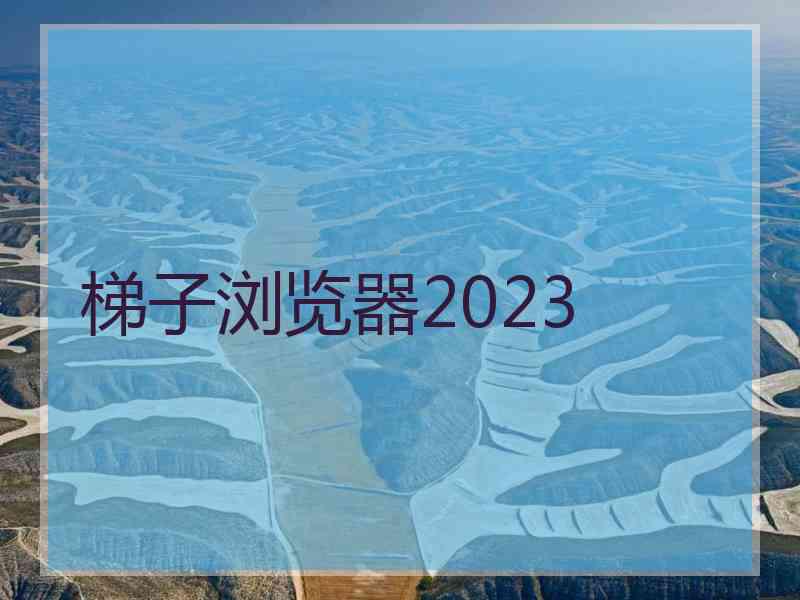 梯子浏览器2023