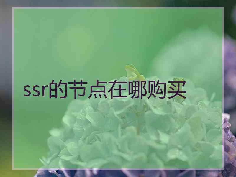 ssr的节点在哪购买