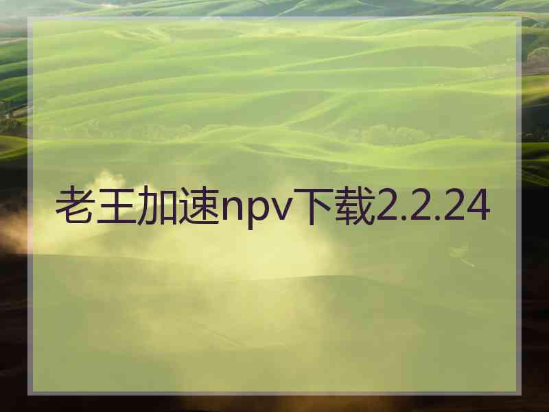 老王加速npv下载2.2.24