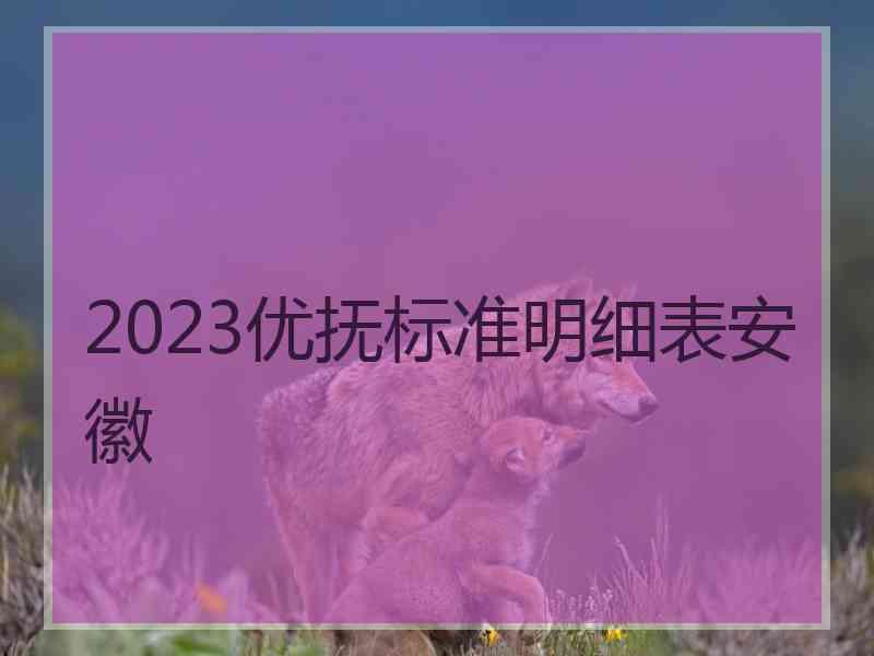 2023优抚标准明细表安徽